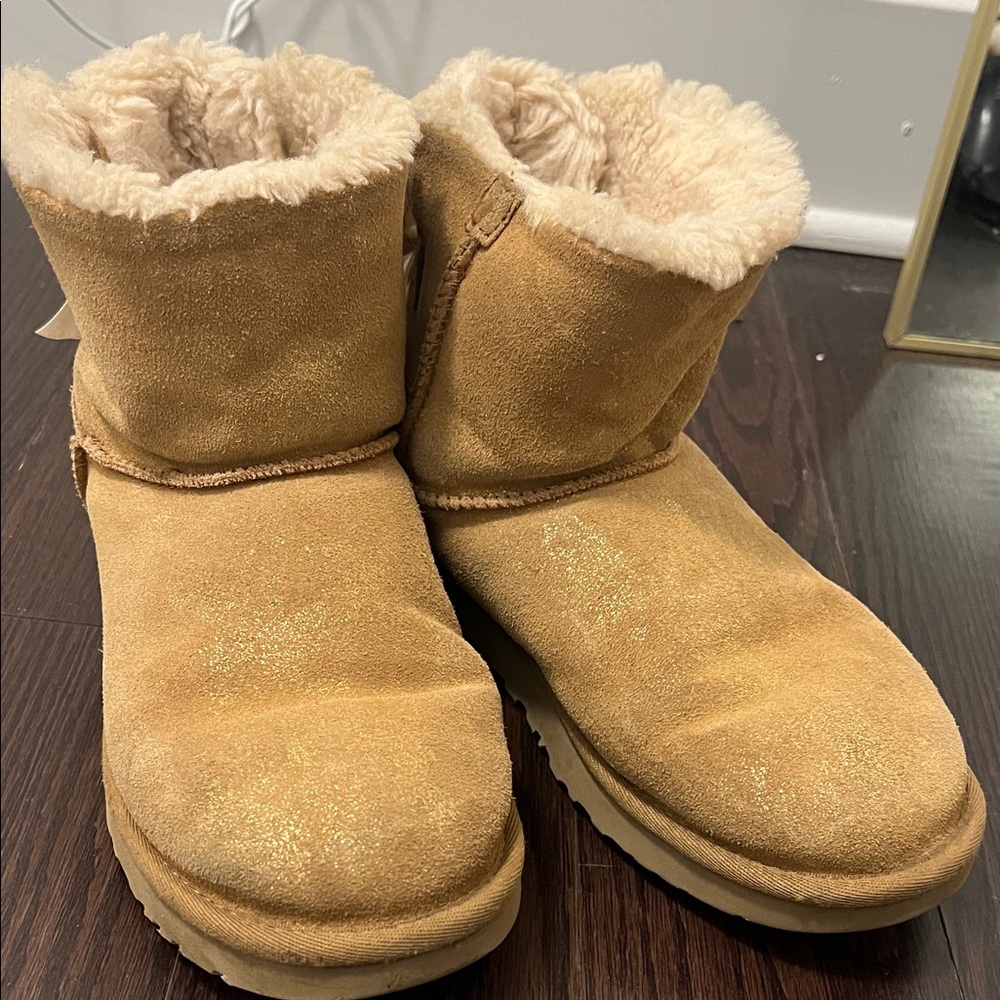 UGG Tan Boots with Cozy Lining